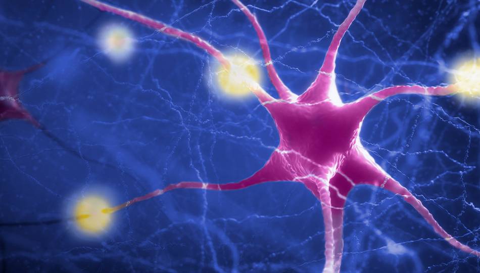 Jazz Pharma ES science stories